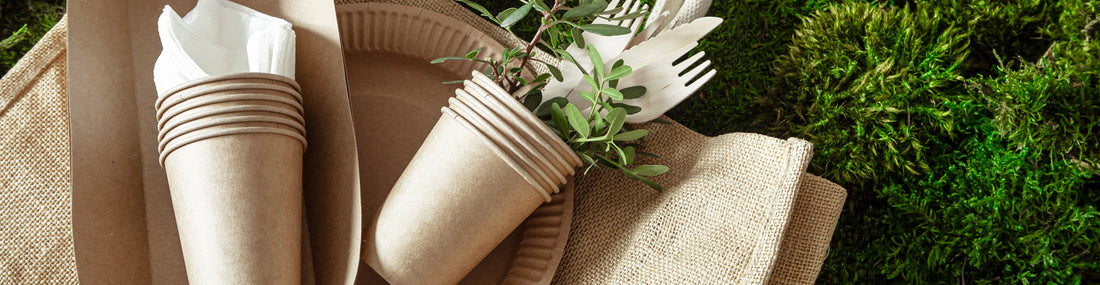 eco-friendly wedding invitations