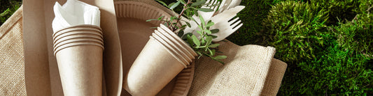 eco-friendly wedding invitations