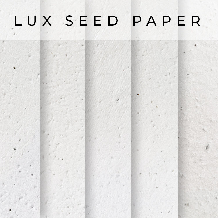 swatch Options Lux Seed Paper