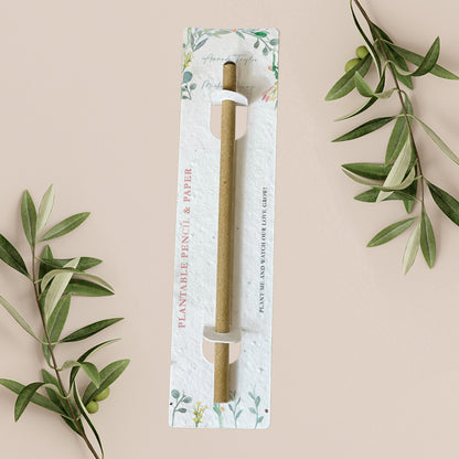 Eucalyptus - Plantable Pencil