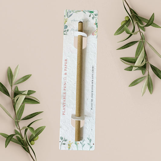 Eucalyptus - Plantable Pencil