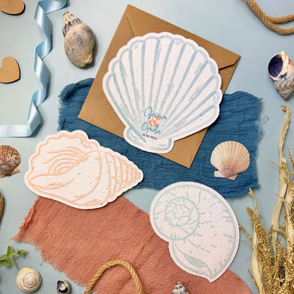 Seashells - Invitation