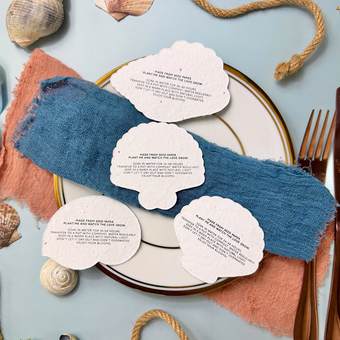 Seashells - Place Card