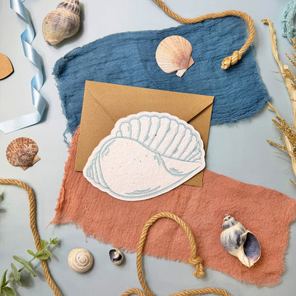Seashells - Thank You Card