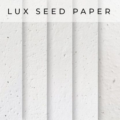 swatch Options Lux Seed Paper