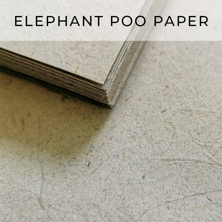 Elephant Poo Paper