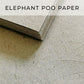 Elephant Poo Paper Swatch