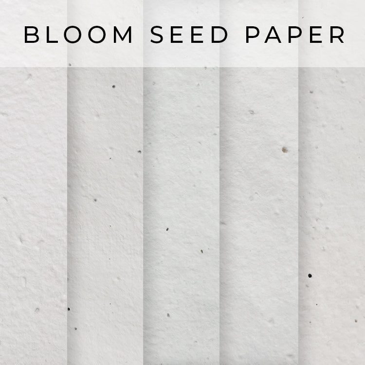 Bloom Seed Paper Types