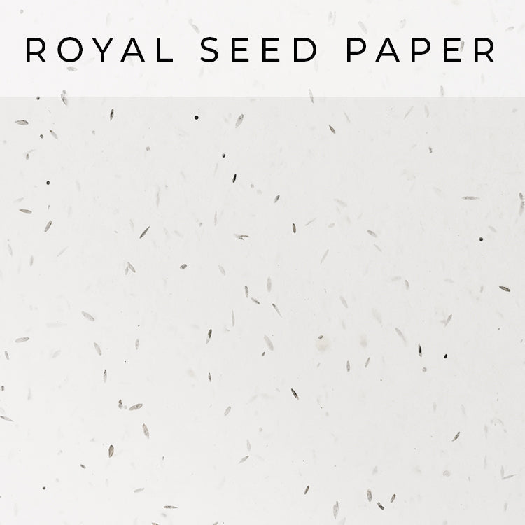 Royal Seed Paper Swatch